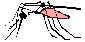 wpe6.jpg (1692 bytes)